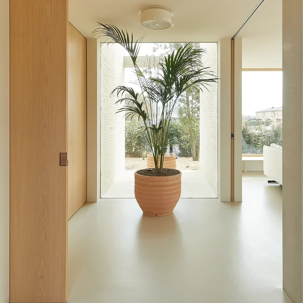 Residential Micro Cement Flooring